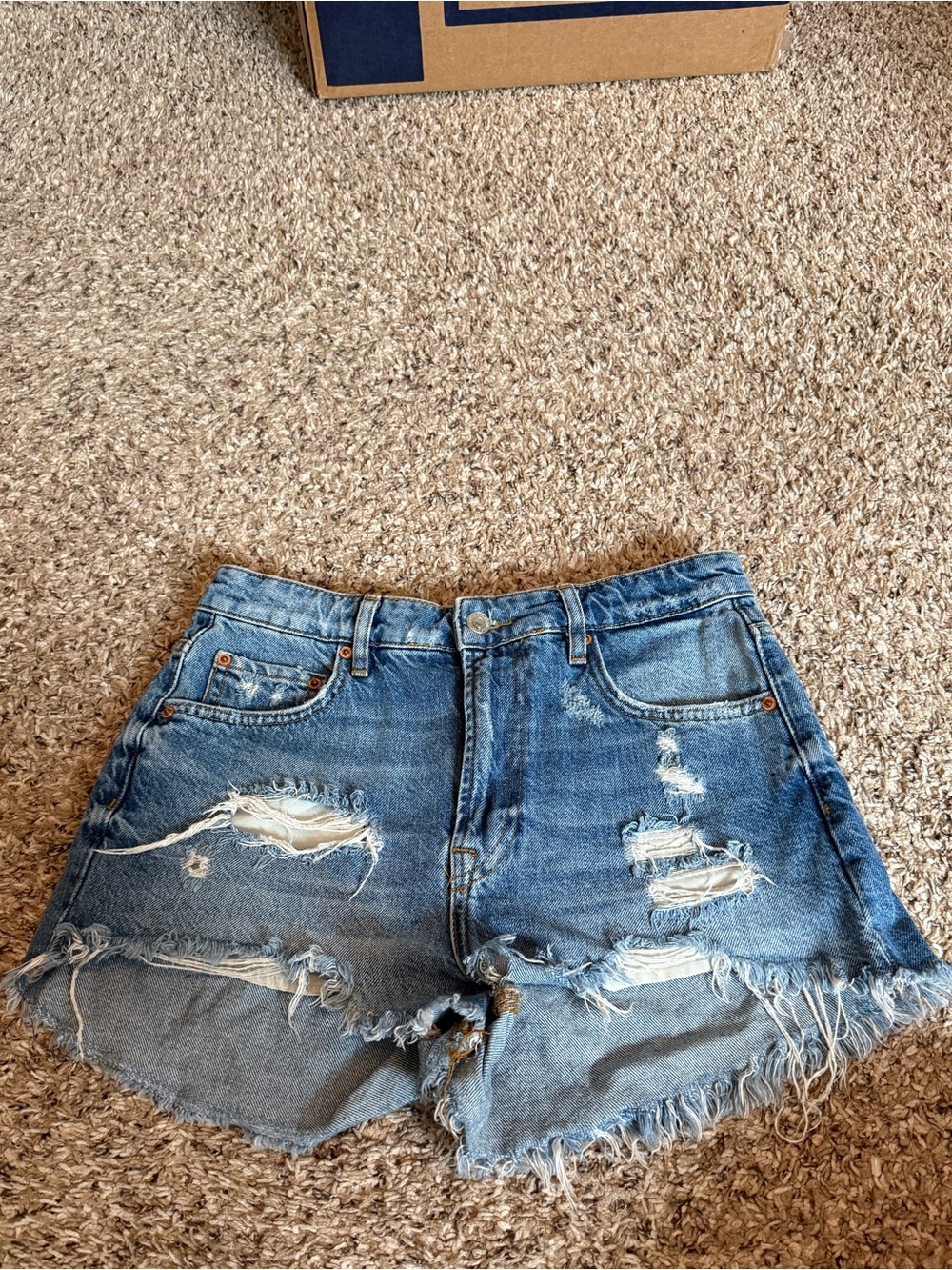 Zara Distressed Light Blue High-Rise Denim Shorts Size 6